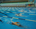 В Камчатском крае состоялись соревнования по плаванию в рамках реализации I этапа Всероссийского проекта «Спортивное наследие – здоровая страна!»